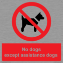 no-dogs-except-assistance-dogs~